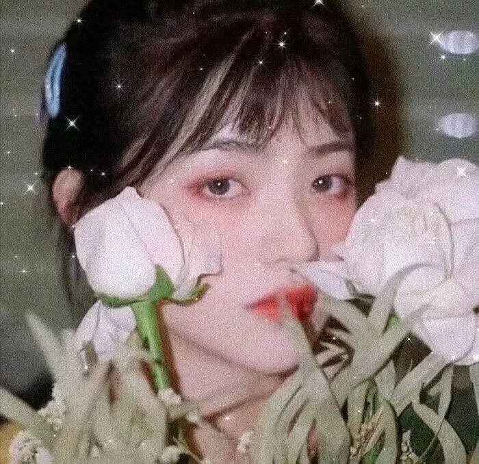 恋琴痴凤